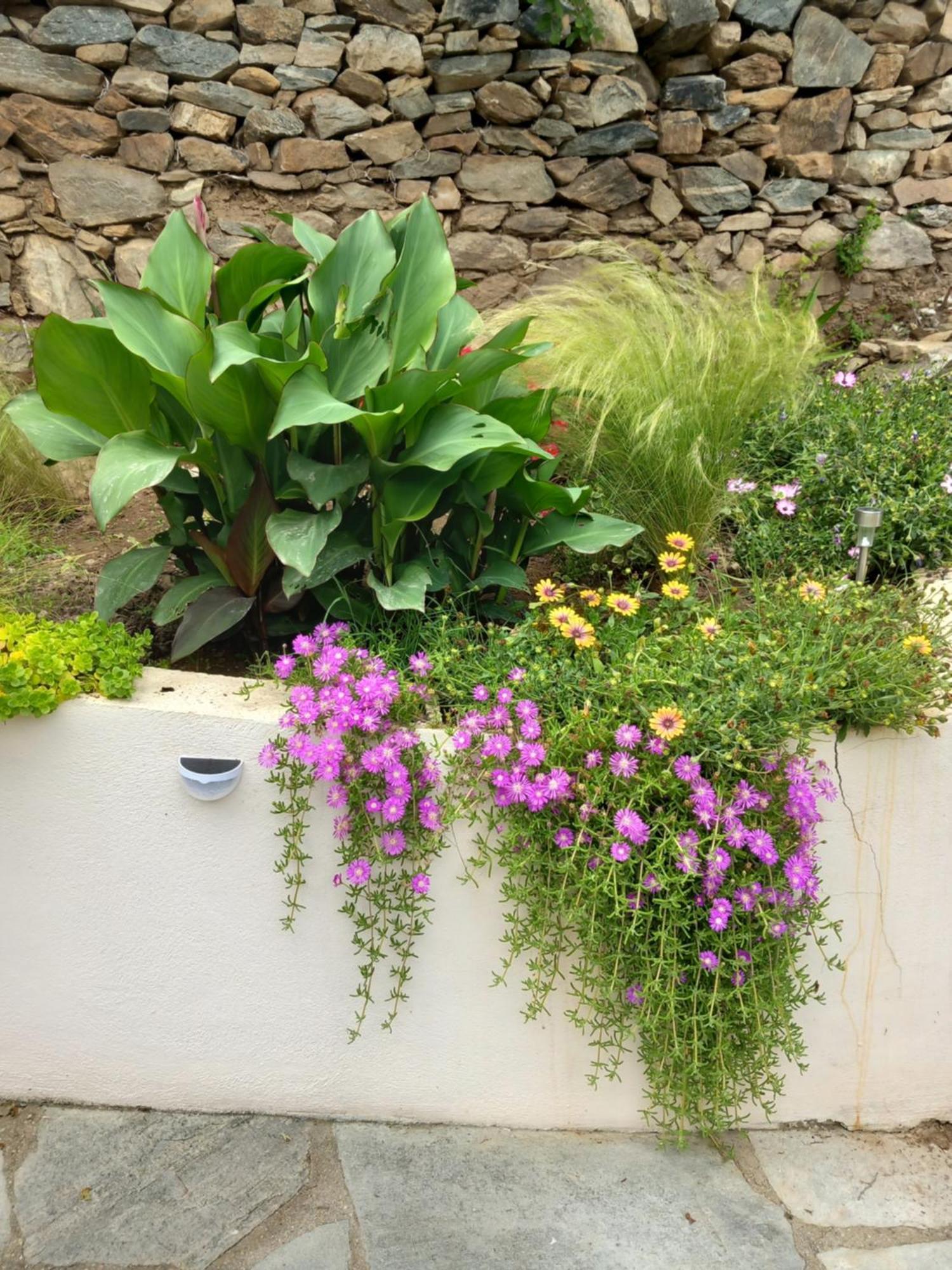 Green Meadow Elevtherai المظهر الخارجي الصورة