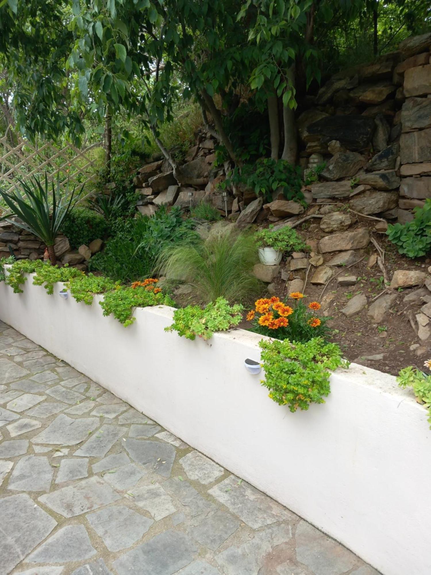 Green Meadow Elevtherai المظهر الخارجي الصورة