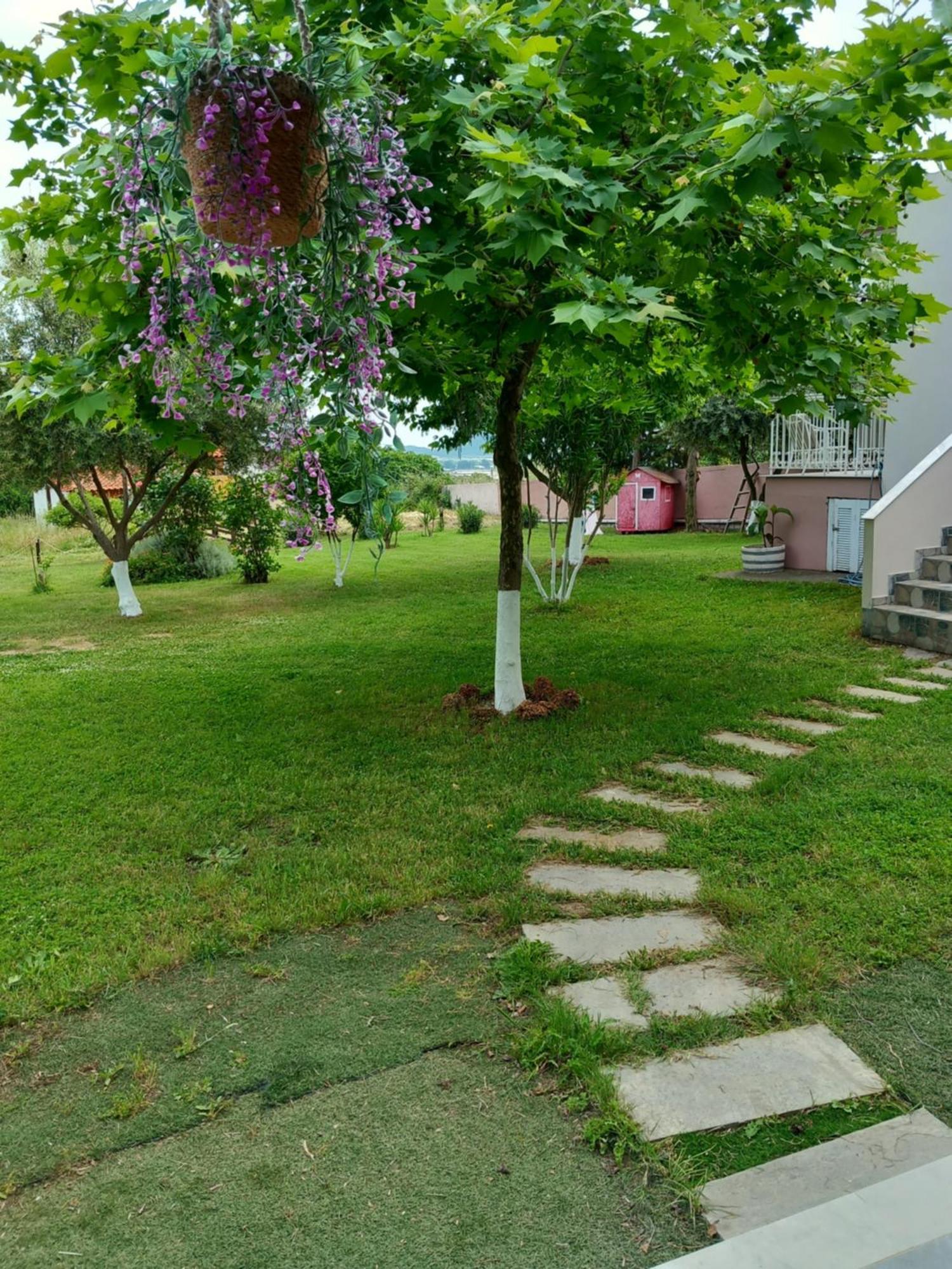 Green Meadow Elevtherai المظهر الخارجي الصورة